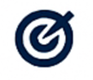 Bullseye Icon